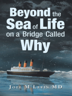 Beyond the Sea of Life on a Bridge Called Why