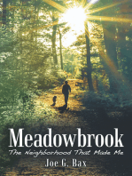 Meadowbrook: The Neighborhood That Made Me