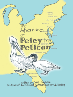 The Adventures of Petey the Pelican