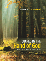 Touched by the Hand of God: A Commentary on Job