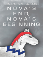 Nova’s End, Nova’s Beginning