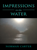 Impressions in the Water