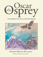 Oscar the Osprey