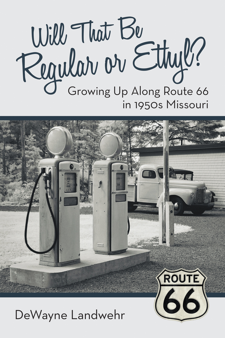 Will That Be Regular or Ethyl? by DeWayne Landwehr (Ebook) - Read free ...