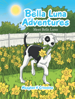 Bella Luna Adventures
