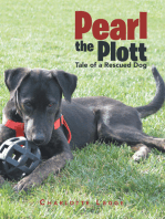 Pearl the Plott: Tale of a Rescued Dog