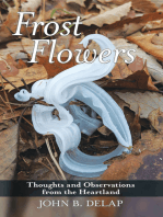 Frost Flowers: Thoughts and Observations from the Heartland