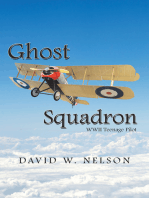 Ghost Squadron: Wwii Teenage Pilot