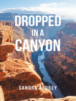 Dropped in a Canyon