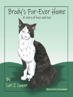 Brody's Fur-Ever Home