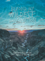 Beyond My Wildest Imagination