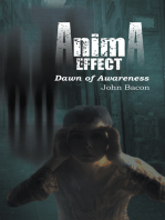 Anima Effect