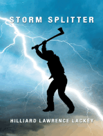 Storm Splitter