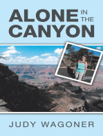 Alone in the Canyon
