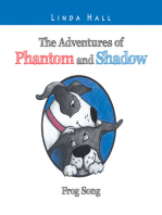 The Adventures of Phantom and Shadow Frog Song: Frog Song