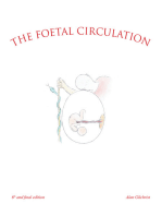 The Foetal Circulation