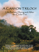 A Canyon Trilogy: Life Before, During and After the Cedar Fire