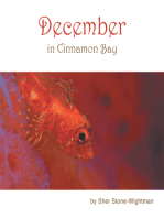 December in Cinnamon Bay
