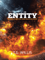 Entity: Beings, Purpose and Malevolence