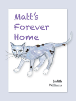 Matt’s Forever Home