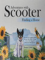 Adventures with Scooter: Finding a Home
