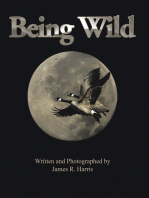 Being Wild