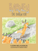 Barney the Dublin Fox