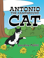 Antonio the Campground Cat