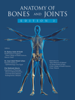 Anatomy of bones and joints