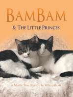 Bambam & the Little Princes: A Mostly True Story