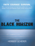 The Black Horizon