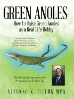 Green Anoles - How to Raise Green Anoles as a Real Life Hobby: A Successful Reptile Enthusiast Tells You His Secrets on How to Successfully Raise Green Anole Lizards for Fun as House and Garden Pets