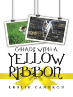 Chaos with a Yellow Ribbon