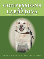 Confessions of a Labradiva: Another Blonde Leading the Blind