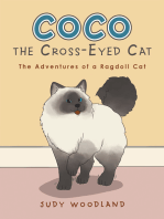 Coco the Cross-Eyed Cat