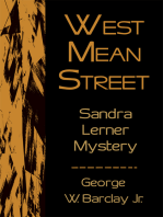West Mean Street: Sandra Lerner Mystery
