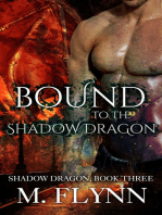 Bound to the Shadow Dragon: Shadow Dragon Book 3 (Dragon Shifter Romance)