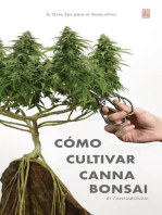 Cómo Cultivar Cannabonsai
