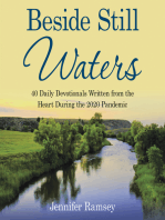 Beside Still Waters: 40 Daily Devotionals Written from the Heart During the 2020 Pandemic