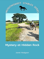 Mystery at Hidden Rock