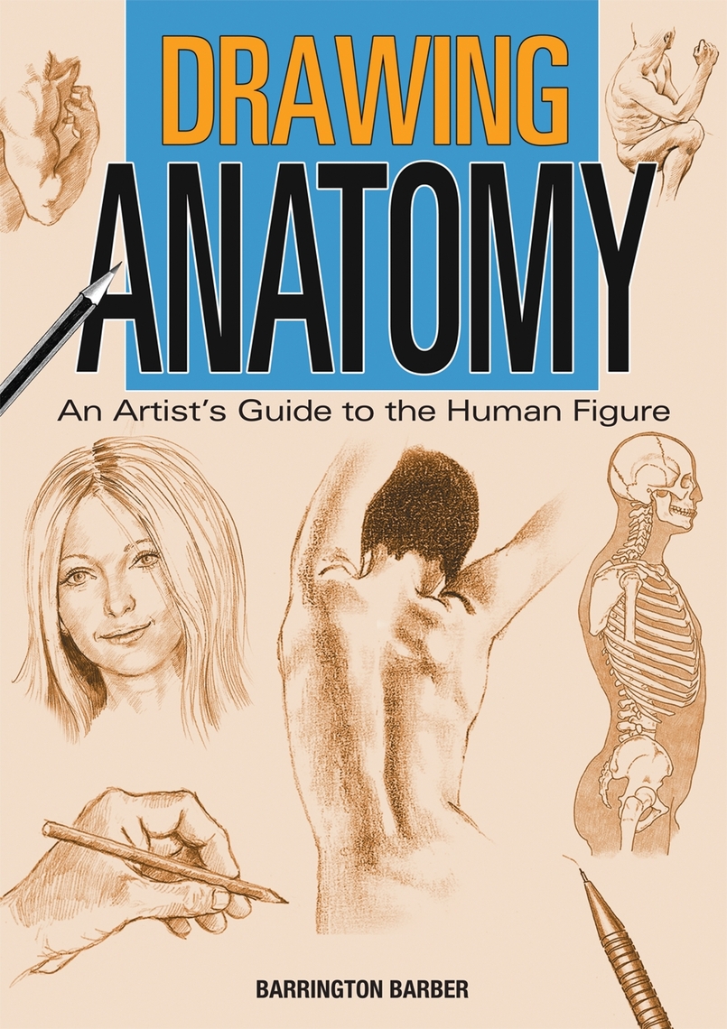Drawing Anatomy by Barrington Barber (Ebook) - Read free for 30 days