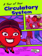 A Tour of Your Circulatory System