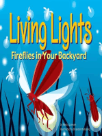 Living Lights: Fireflies in Your Backyard