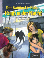 Die Kaminski-Kids: Raub in der Nacht: mit Illustrationen von Lisa Gangwisch