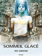 Sommeil glacé: Roman