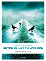 Unter dunklen Wolken