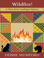 Wildfire!: Kristi Lundrigan Mysteries