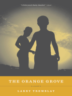 The Orange Grove: A Novel
