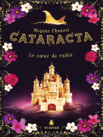 Cataracta, tome 3 - Le coeur de rubis