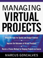 Managing Virtual Projects